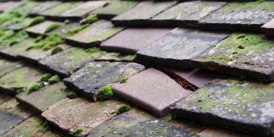Clutton roof repair costs